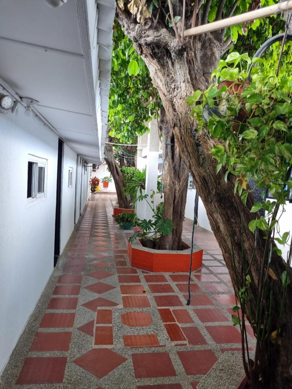 Hotel Mayte Fonseca Εξωτερικό φωτογραφία