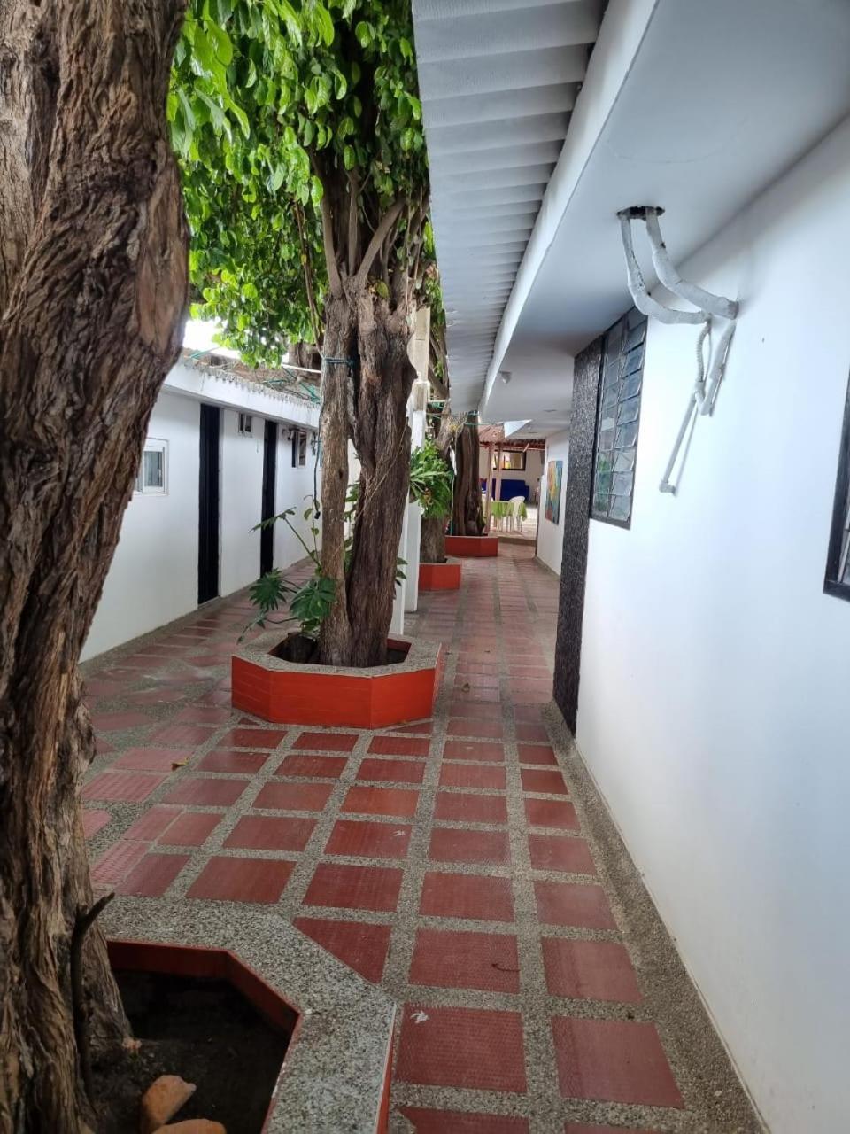 Hotel Mayte Fonseca Εξωτερικό φωτογραφία